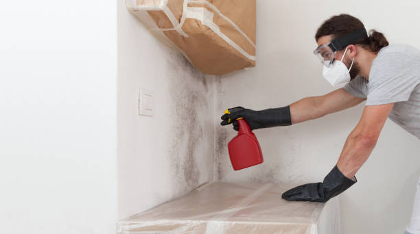 Professional Black Mold Remediation technician working in Rockville, MD