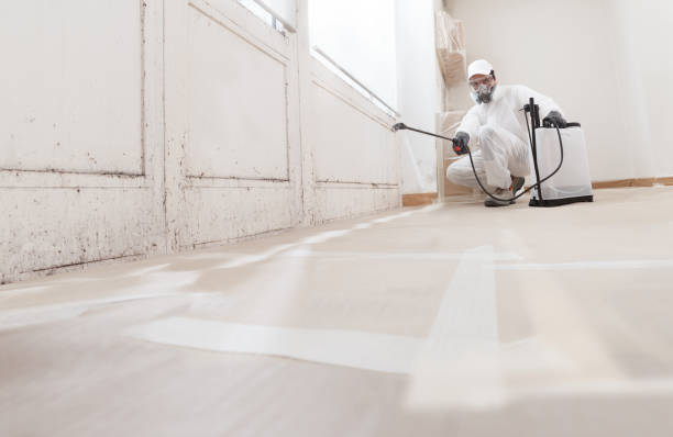 24/7 Emergency Black Mold Remediation experts in Rockville, MD