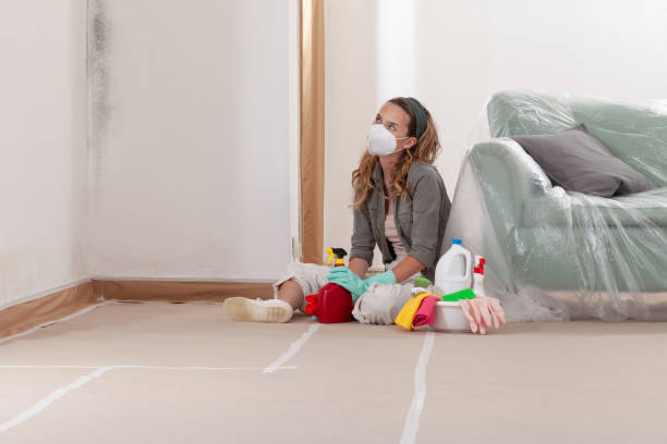 Reliable Black Mold Remediation contractor in Rockville, MD by 24 Hour Mold Removal